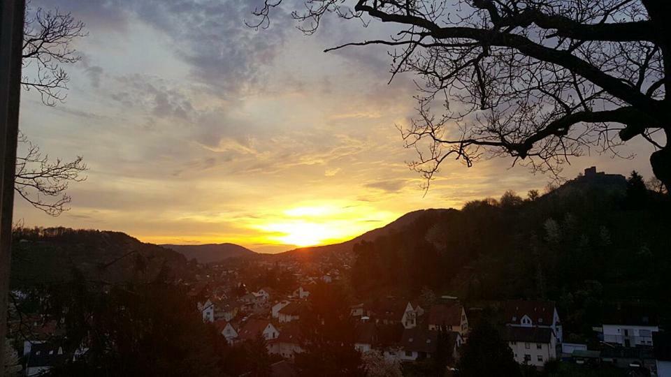 Pension Bergterrasse Annweiler am Trifels Exteriör bild